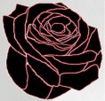 /album/la-percepcion/rosa-nueva-4-negro-blanco-y-rojo-2-jpg1/